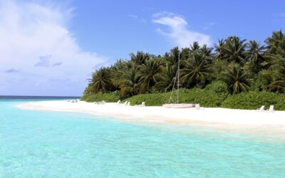 Paradise Found: Exploring the Beauty of Constance Halaveli Maldives on a Budget